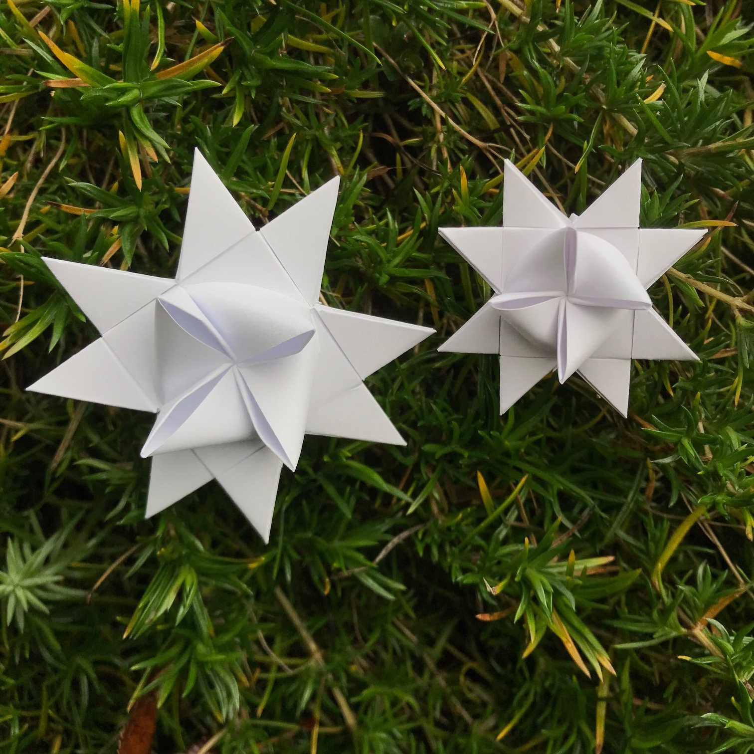 24 Paper strips for folding stars 10mm