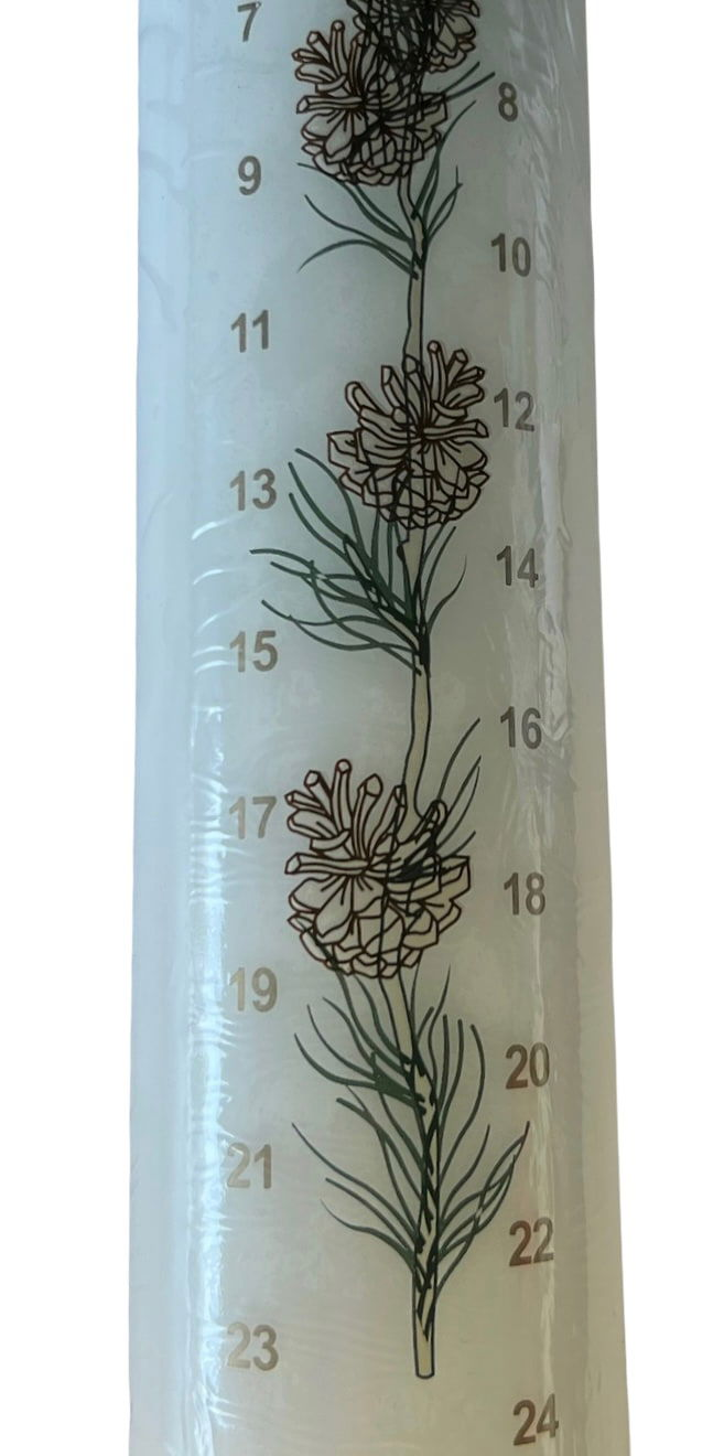 Calendar candle with fir cones 